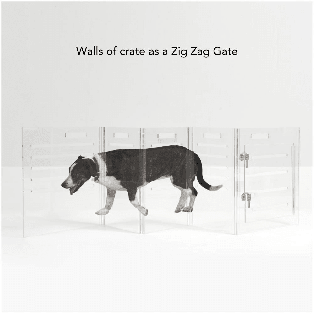 Hiddin Clear Acrylic Dog Crate – Medium, Silver Latch