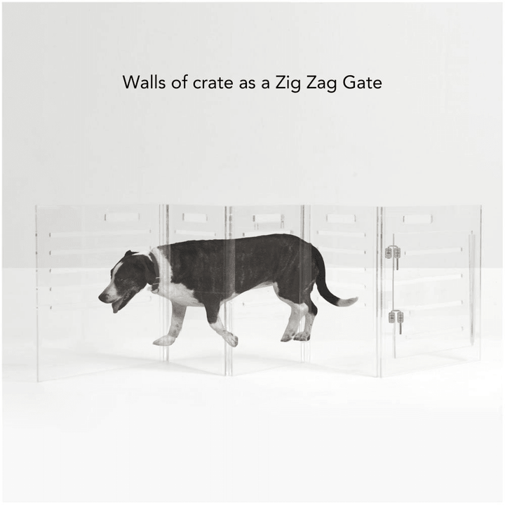 Hiddin Clear Acrylic Dog Crate – Large, Silver Latch