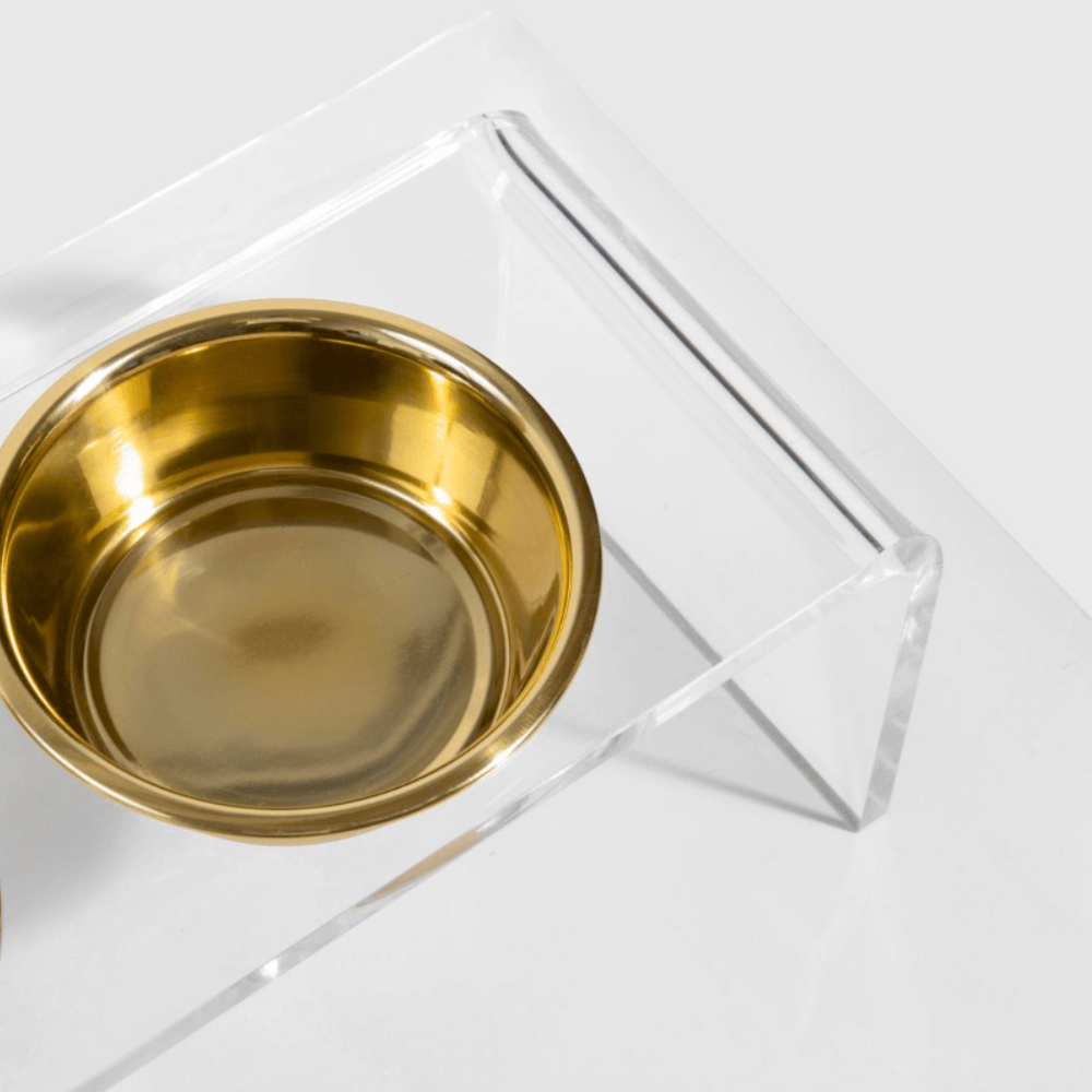 Hiddin Clear Acrylic Single Feeder with Gold Bowl – 5 in High