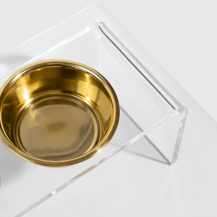 Hiddin Clear Acrylic Single Feeder with Gold Bowl – 5 in High