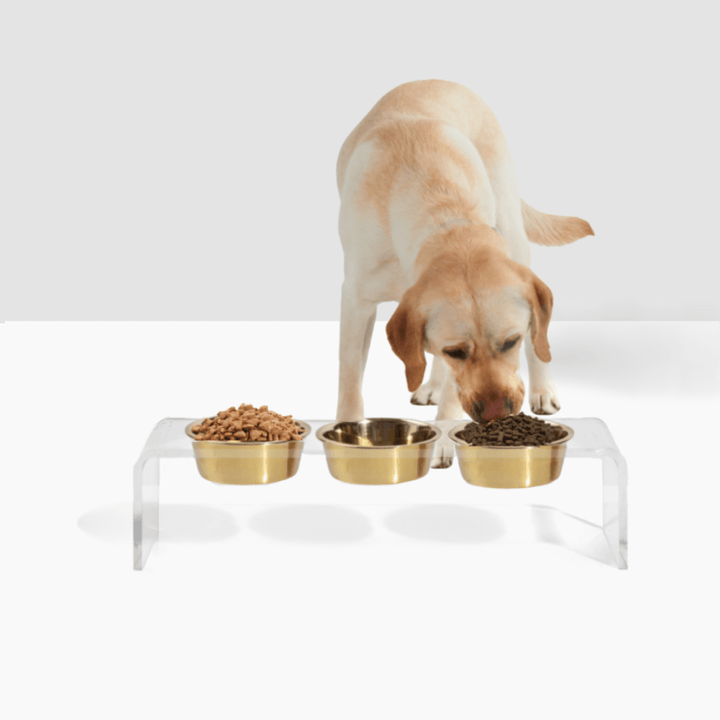 Hiddin Clear Acrylic Triple Feeder with Gold Bowls – 7 in High