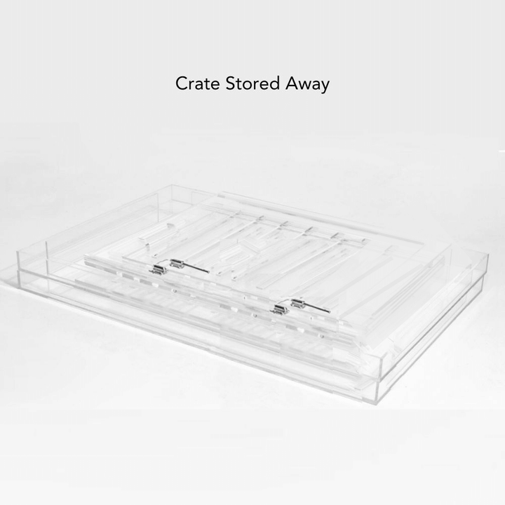 Hiddin Clear Acrylic Dog Crate – Large, Silver Latch