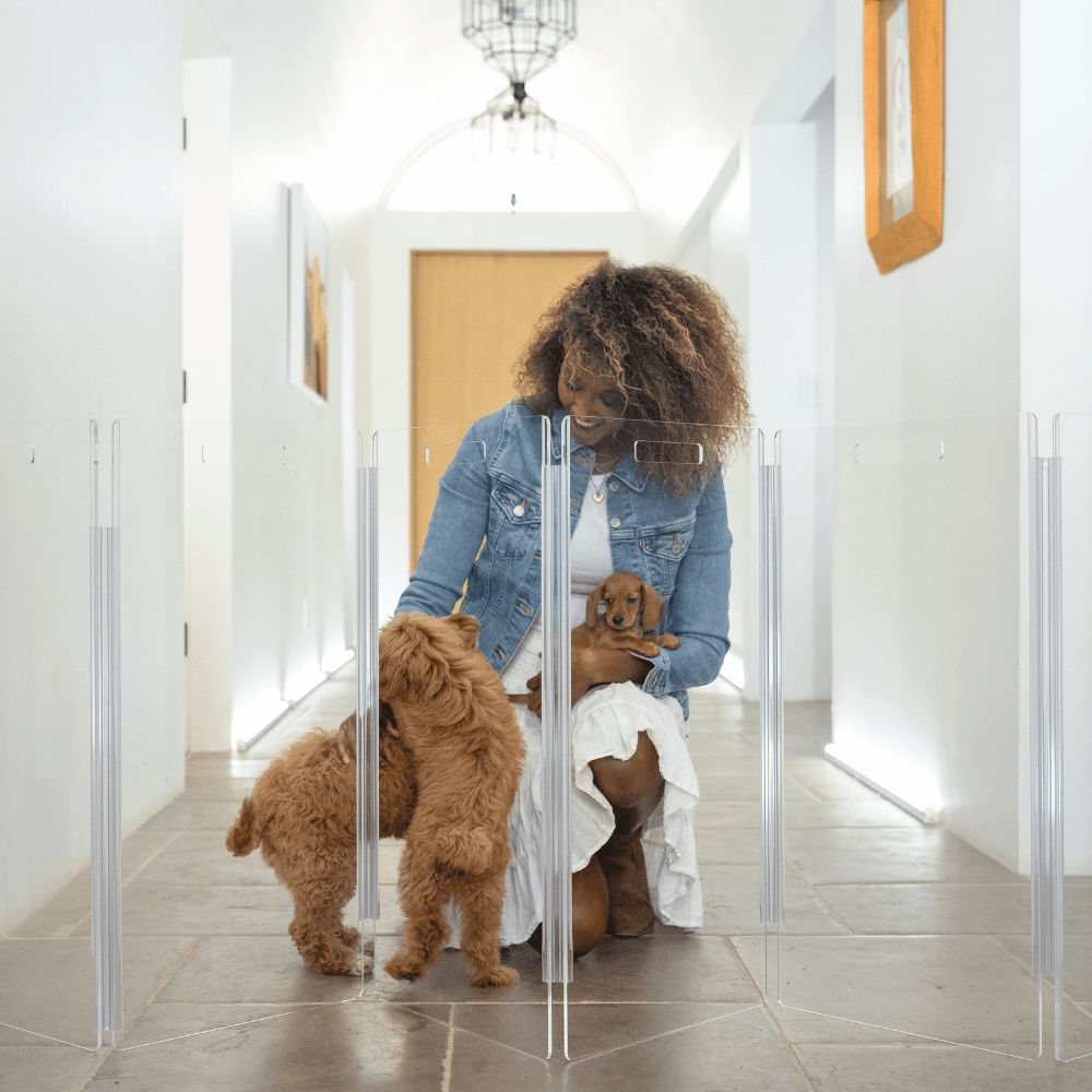 Hiddin Tall Clear Acrylic Zig Zag Pet Gate – Freestanding