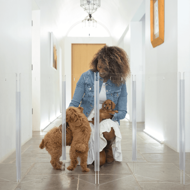 Hiddin Tall Clear Acrylic Zig Zag Pet Gate – Freestanding