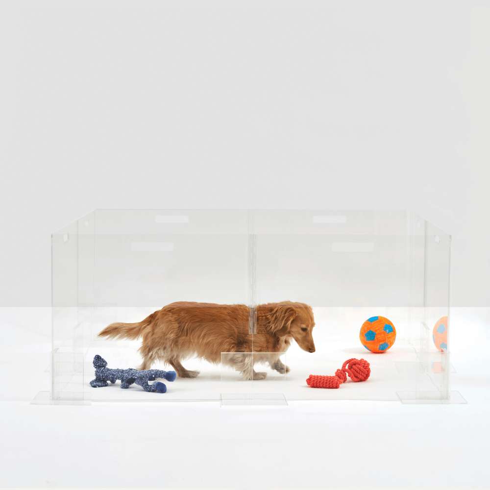 Hiddin Clear Acrylic Step-Over Pet Playpen – 24 in High