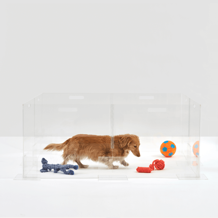 Hiddin Clear Acrylic Step-Over Pet Playpen – 24 in High