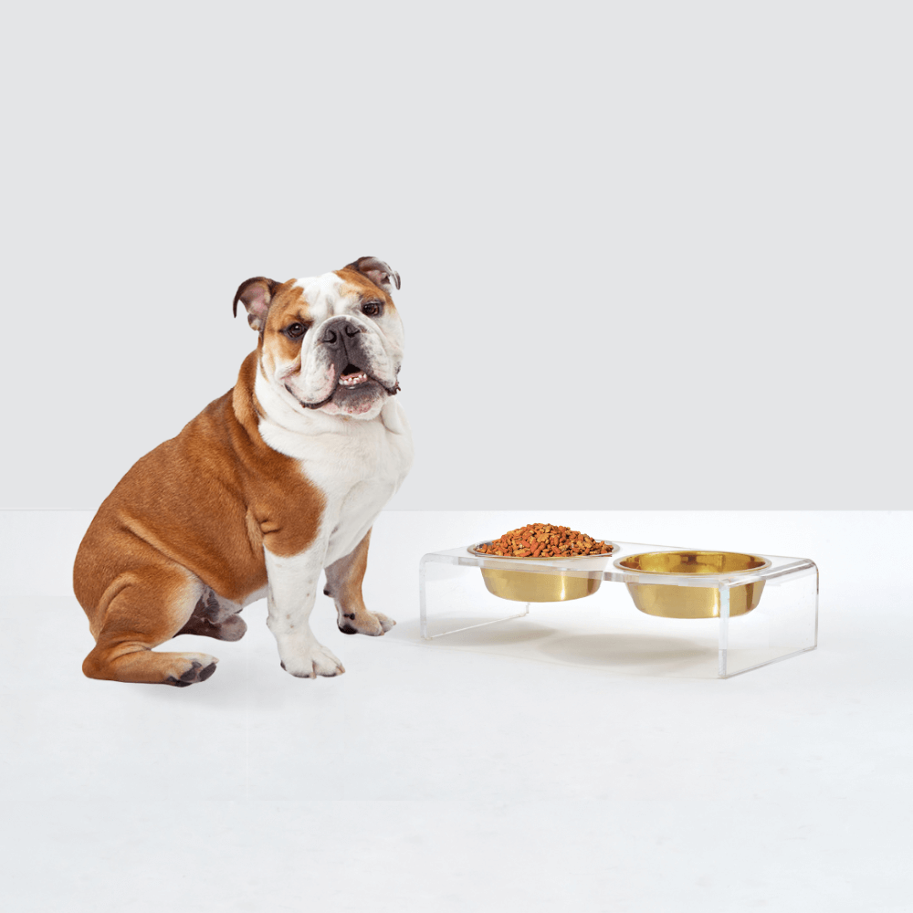 Hiddin Clear Acrylic Double Feeder with Gold Bowls – 3 in High