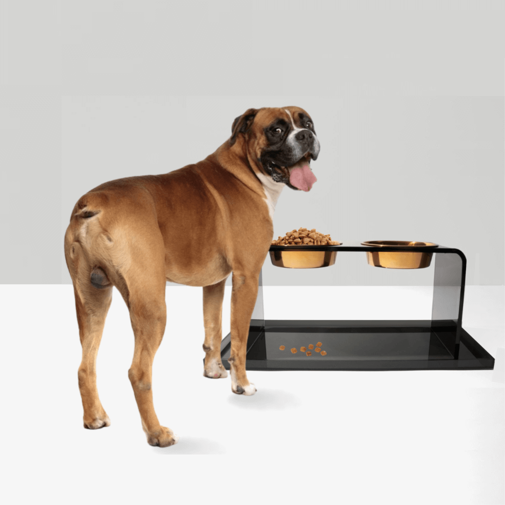 Hiddin Smoke Grey Acrylic Feeder Overflow Tray