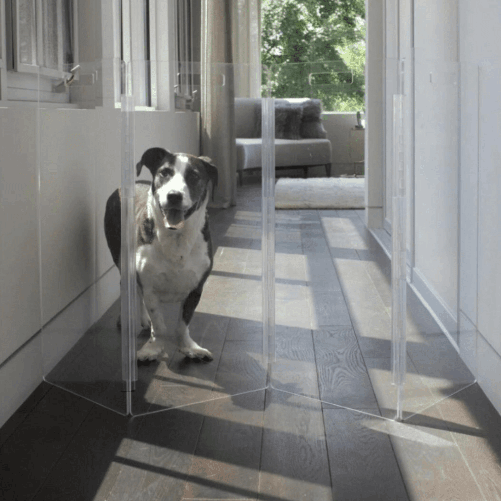 Hiddin Tall Clear Acrylic Zig Zag Pet Gate – Freestanding