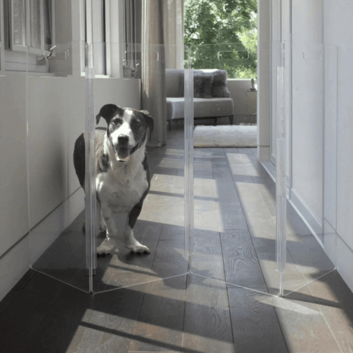 Hiddin Tall Clear Acrylic Zig Zag Pet Gate – Freestanding
