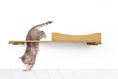 Load image into Gallery viewer, The Cat Nest Bed, wooden wall-mounted cat shelf/bed by Catastrophic Creations

