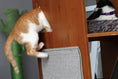 Charger l'image dans la visionneuse de la galerie, The Overlook Bamboo Cat Tree cat condo by Catastrophic Creations; two cats, orange cat climbing and black/white on top.

