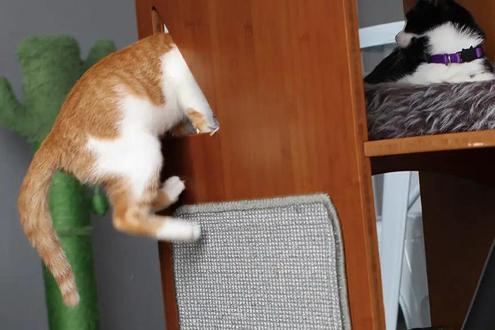 Orange-and-white cat climbing beside a triangular window on The Overlook Bamboo Cat Tree while another cat rests inside.