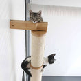 Carica l'immagine nel visualizzatore della galleria, Horizontal Scratching Post for Cats by Catastrophic Creations, natural wood with sisal rope, 2 cats on it

