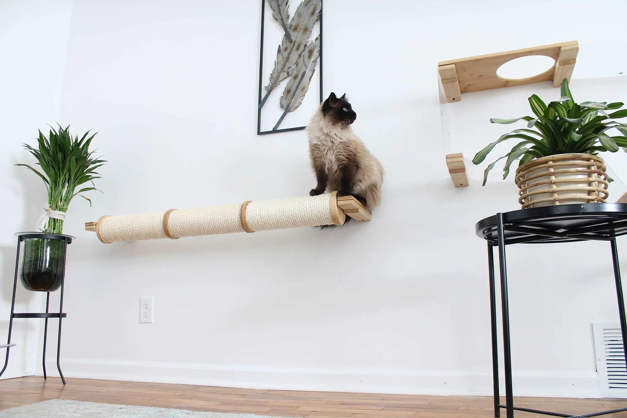 Horizontal Scratching Post for Cats by Catastrophic Creations; beige sisal rope with wooden ends, cat perched.