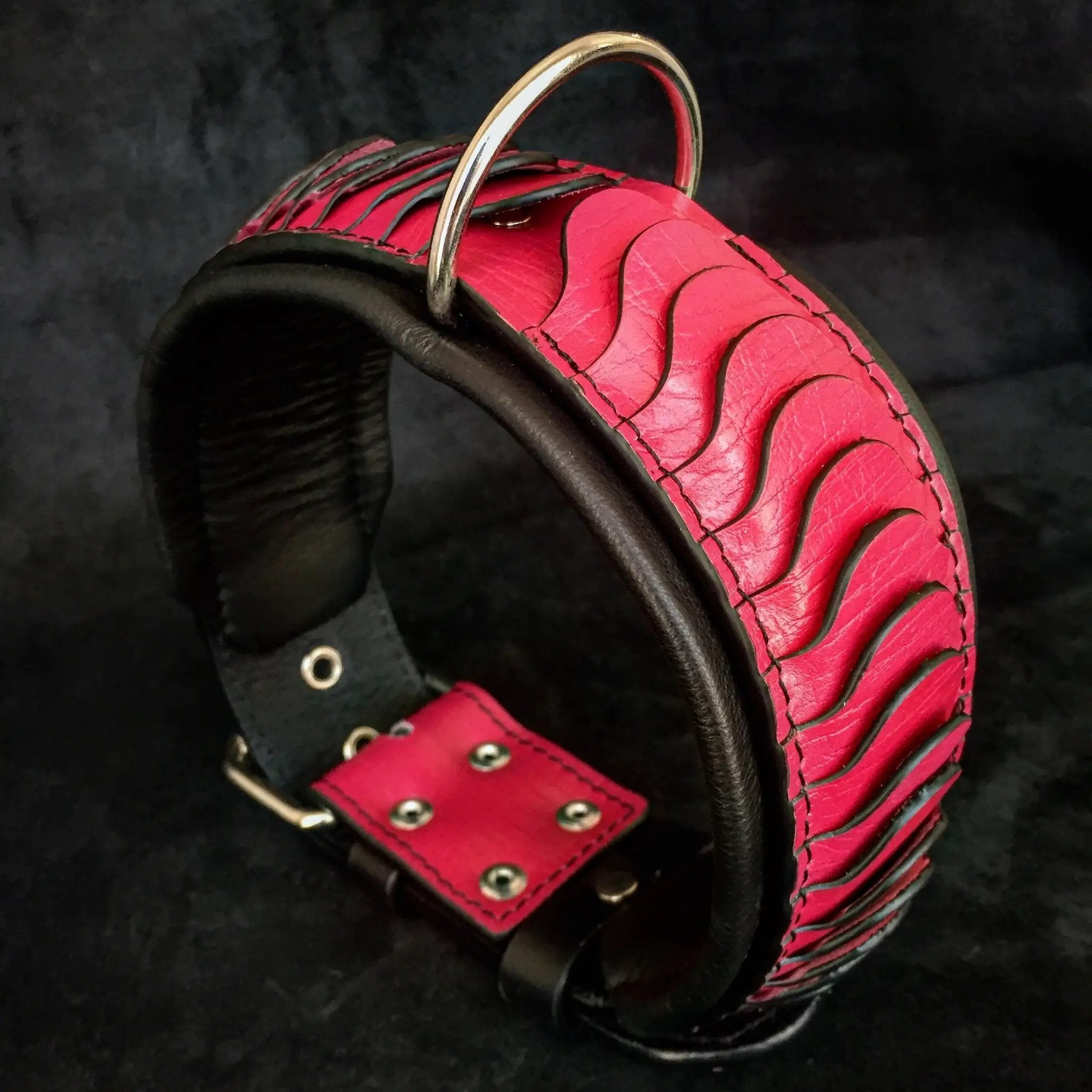 The ''Spine'' collar - Pet Collars & Harnesses from Bestia Dog Gear