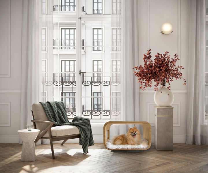 LUNA Modern Cat Bed &amp; Side Table, White Oak