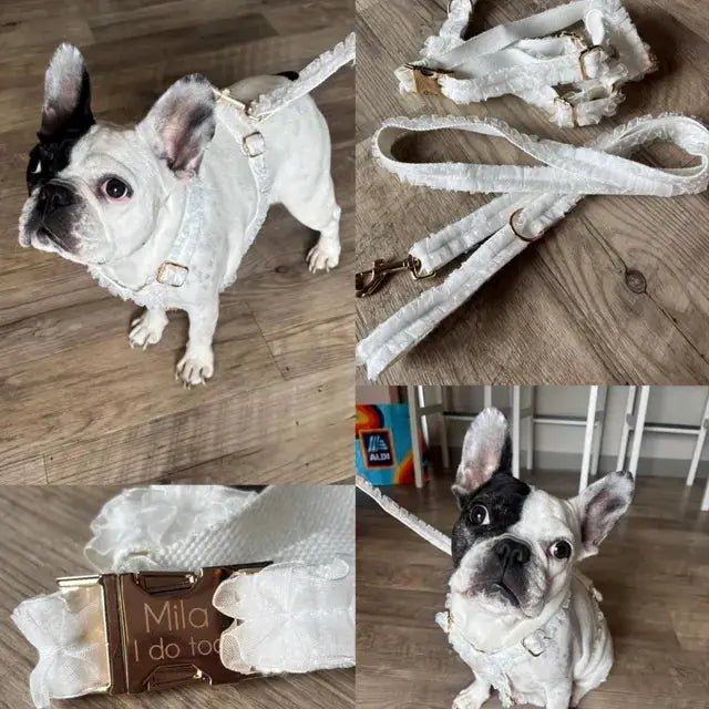 Wedding White Lace Set dog collar and leash in white lace with gold hardware, personalized by For Animals, With Love