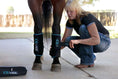 Bild in Galerie-Betrachter laden, Ice Vibe Therapy Boots for Horses, 2-pack, black with blue trim, being fitted on a horse's legs beside the carrying case
