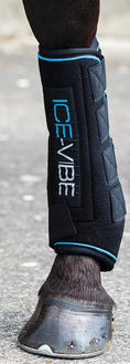Bild in Galerie-Betrachter laden, Ice-Vibe therapy boot for horses, black with blue trim and ICE-VIBE logo on strap
