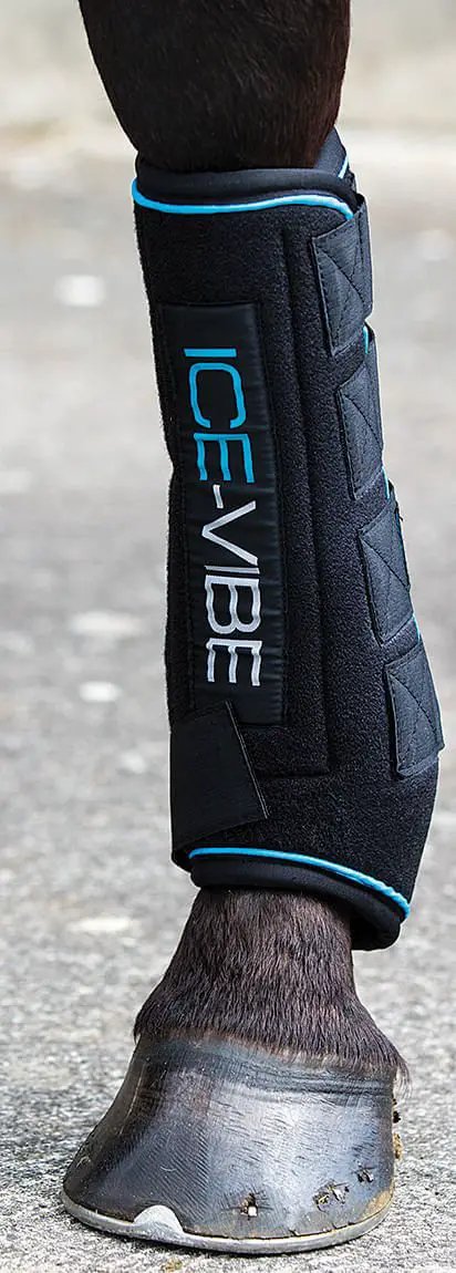 Ice-Vibe therapy boot for horses, black with blue trim and ICE-VIBE logo on strap