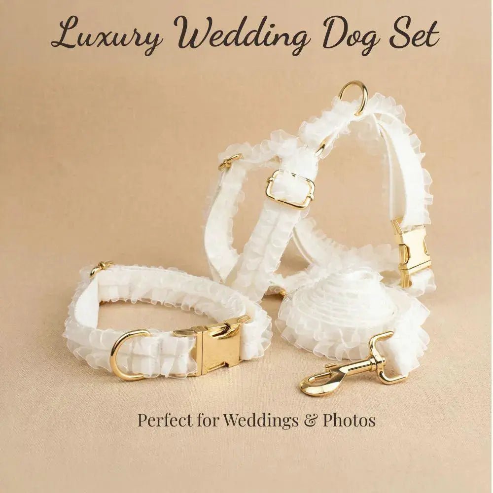 Wedding White Lace Dog Collar Set with gold hardware; set of white lace collars.
