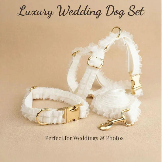 Wedding White Lace Dog Collar Set with gold hardware; set of white lace collars.
