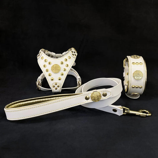 Bestia Handmade Maximus White Gold Leather Dog Harness Collar Leash Set For Small Breeds by Bestia Dog Gear