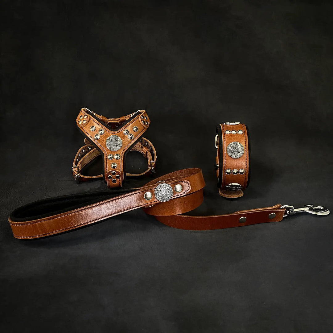 Bestia Maximus brown and silver leather dog harness, collar and leash set
