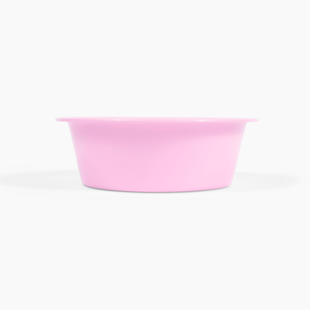 Hiddin Stainless Steel Pet Bowls – Set of 2