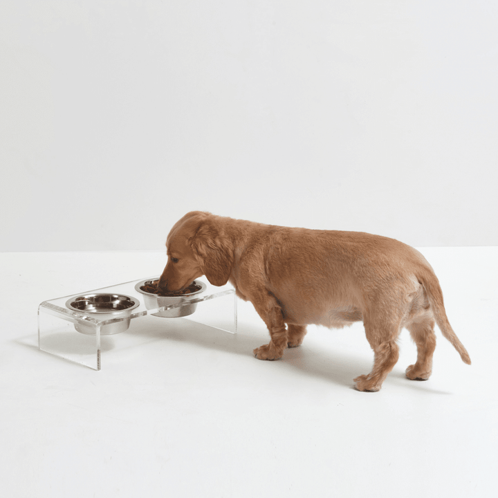 Hiddin Clear Acrylic Double Feeder with Silver Bowls – 3 in High