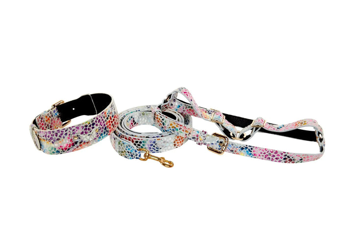 Collar, leash, and harness set in white floral mosaic Italian leather with gold hardware (3-piece)