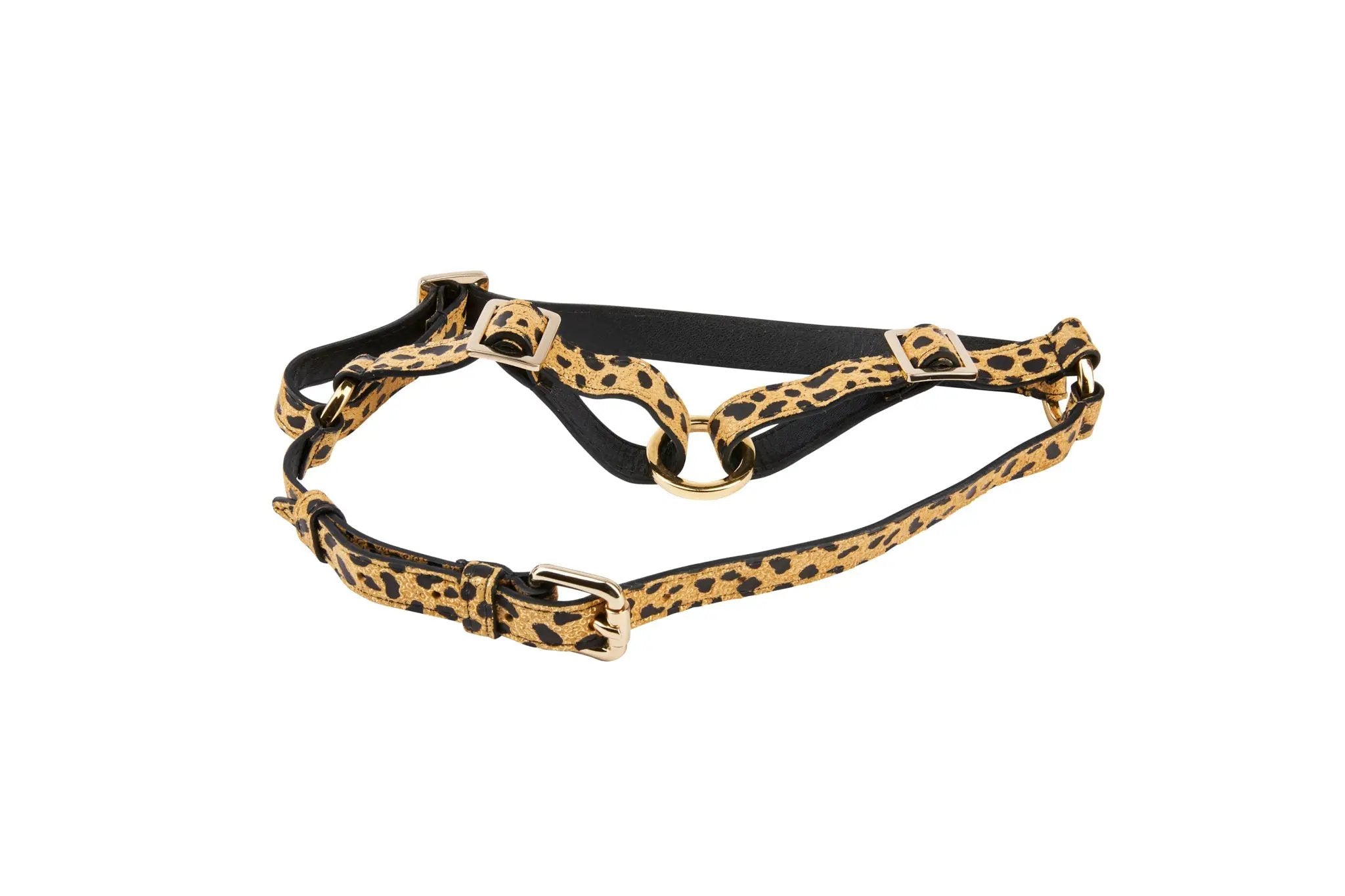 LuxLeopard Italian Leather Harness 30-60 Lbs by Allysa Payne Beverly Hills