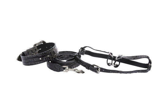 Croc Italian Leather Harness Set With Swarovski Crystals by Allysa Payne Beverly Hills