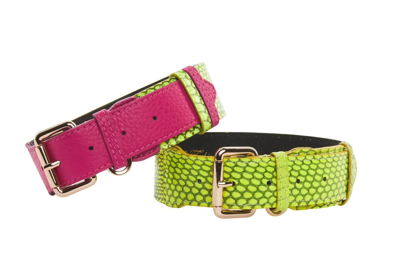Snake-print dog collars set of 2: fuchsia pink and neon green by Allysa Payne Beverly Hills