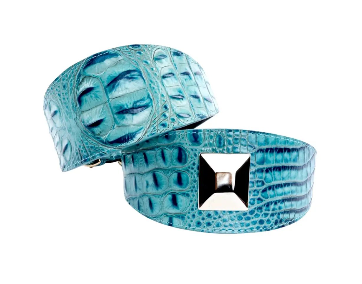 Turquoise embossed croc Italian leather collar set of 2, 3 inches wide, Allysa Payne Beverly Hills