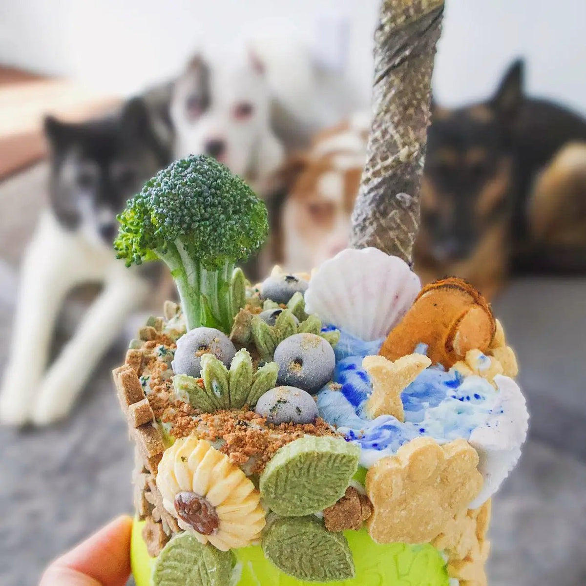 Green Lipped Mussels small animal treats by Naked Beasts in a colorful cupcake-style cup topped with broccoli and shells.