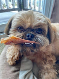 Carica l'immagine nel visualizzatore della galleria, Pig ears dog chew held by a small brown fluffy dog in a close-up shot
