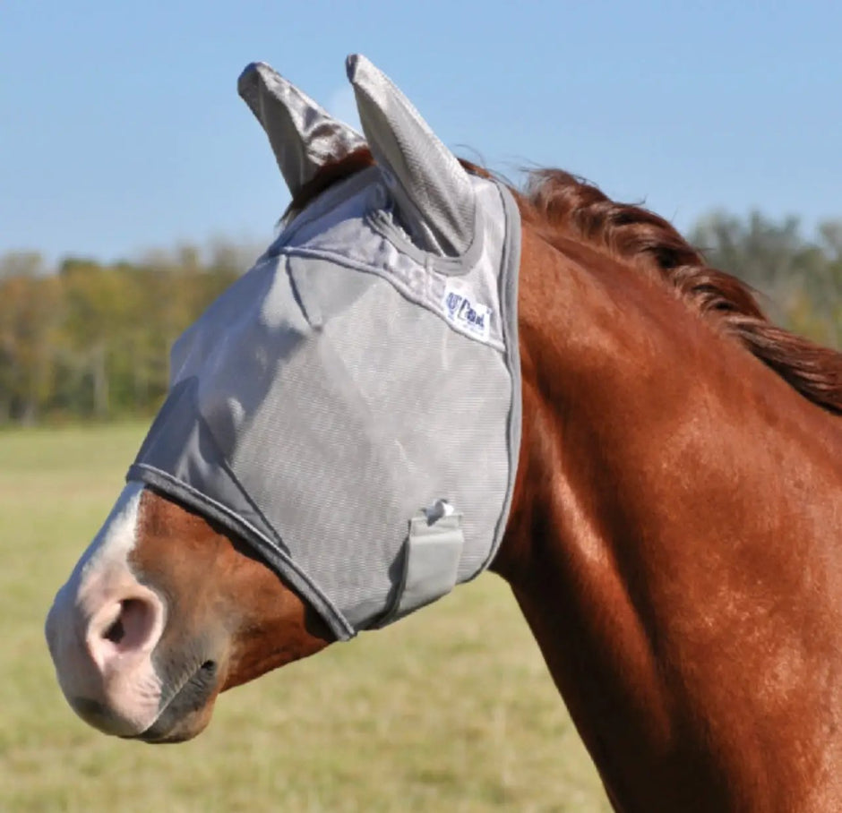 Crusader Horse Fly Mask With Ears Total Ear Protection Essential Shielding For Pasture Turnout Standard Size Equine Care by Summerdale Western Store