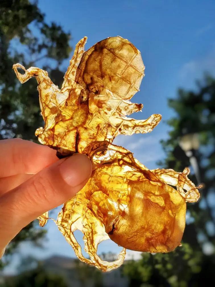 Baby octopus by Naked Beasts, golden-brown dried, wild-caught