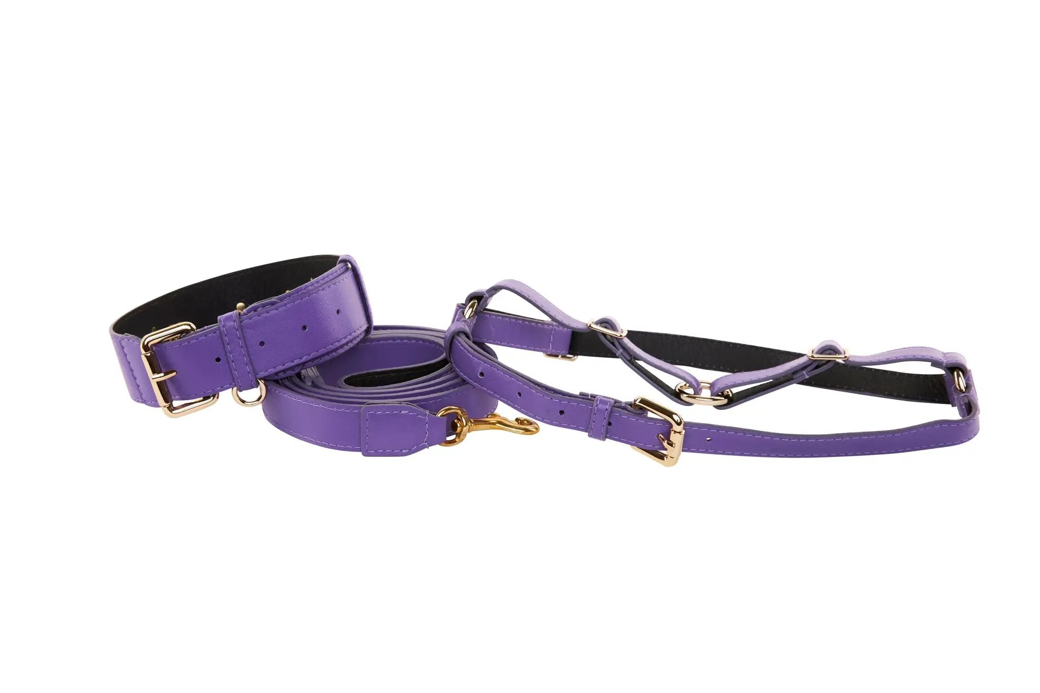 Purple Italian leather collar, leash, and harness set by Allysa Payne Beverly Hills