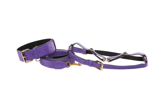 Purple Italian leather collar, leash, and harness set by Allysa Payne Beverly Hills