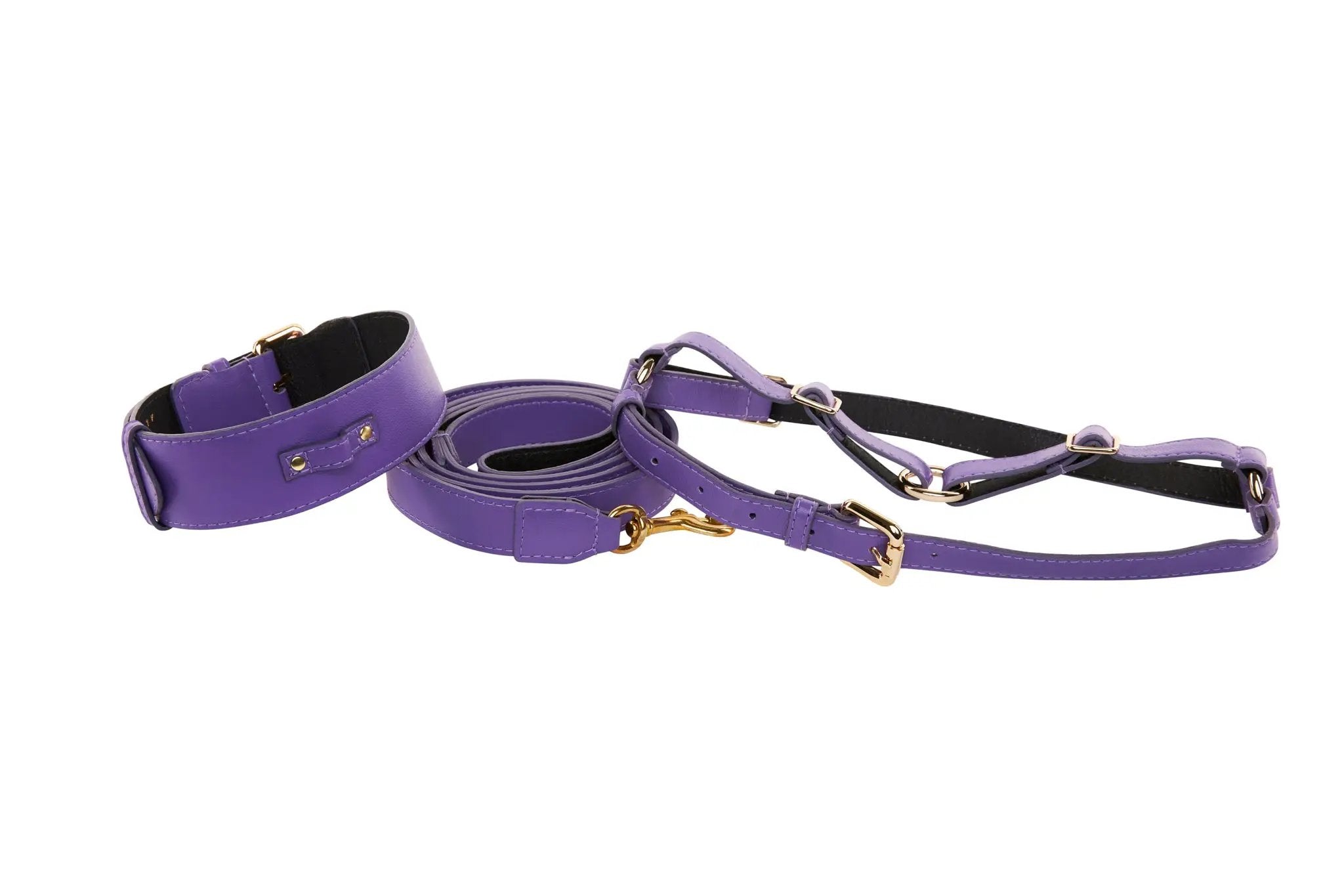 Three-piece purple Italian leather collar, leash, and harness set with gold-tone hardware
