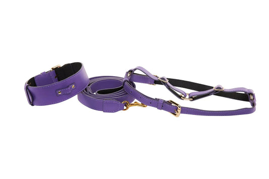 Three-piece purple Italian leather collar, leash, and harness set with gold-tone hardware