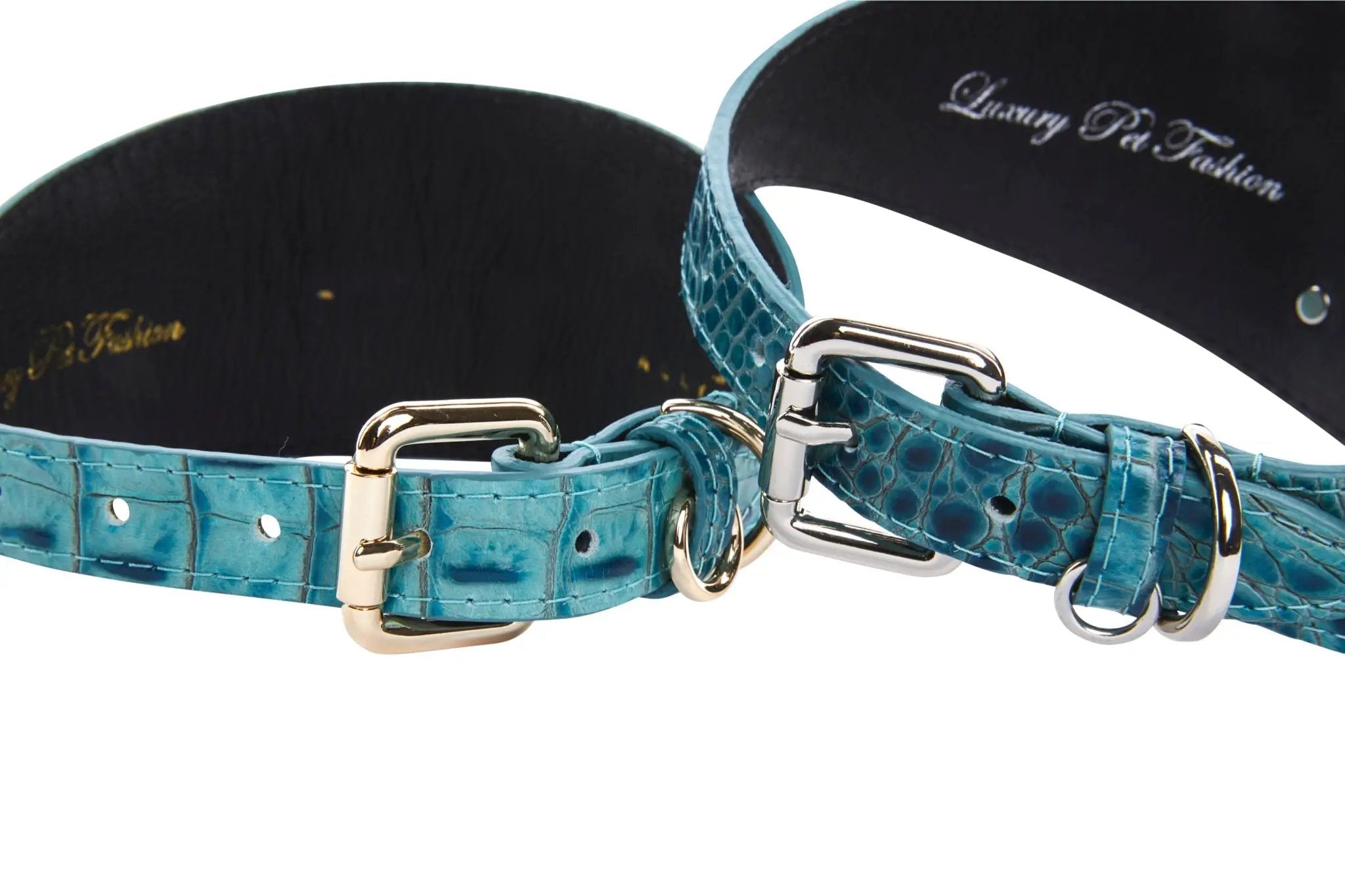 Turquoise embossed croc Italian leather dog collars, 3-inch wide, set of 2 with gold-tone hardware.