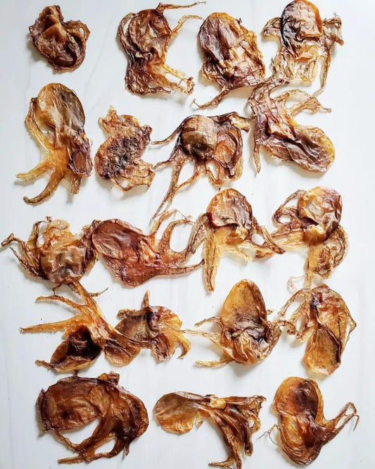 Baby octopus, wild-caught, dried; multiple brown, twisted tentacles spread on a white surface.