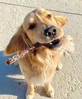 Load image into Gallery viewer, Duck Necks dog chew by Naked Beasts in a golden retriever's mouth
