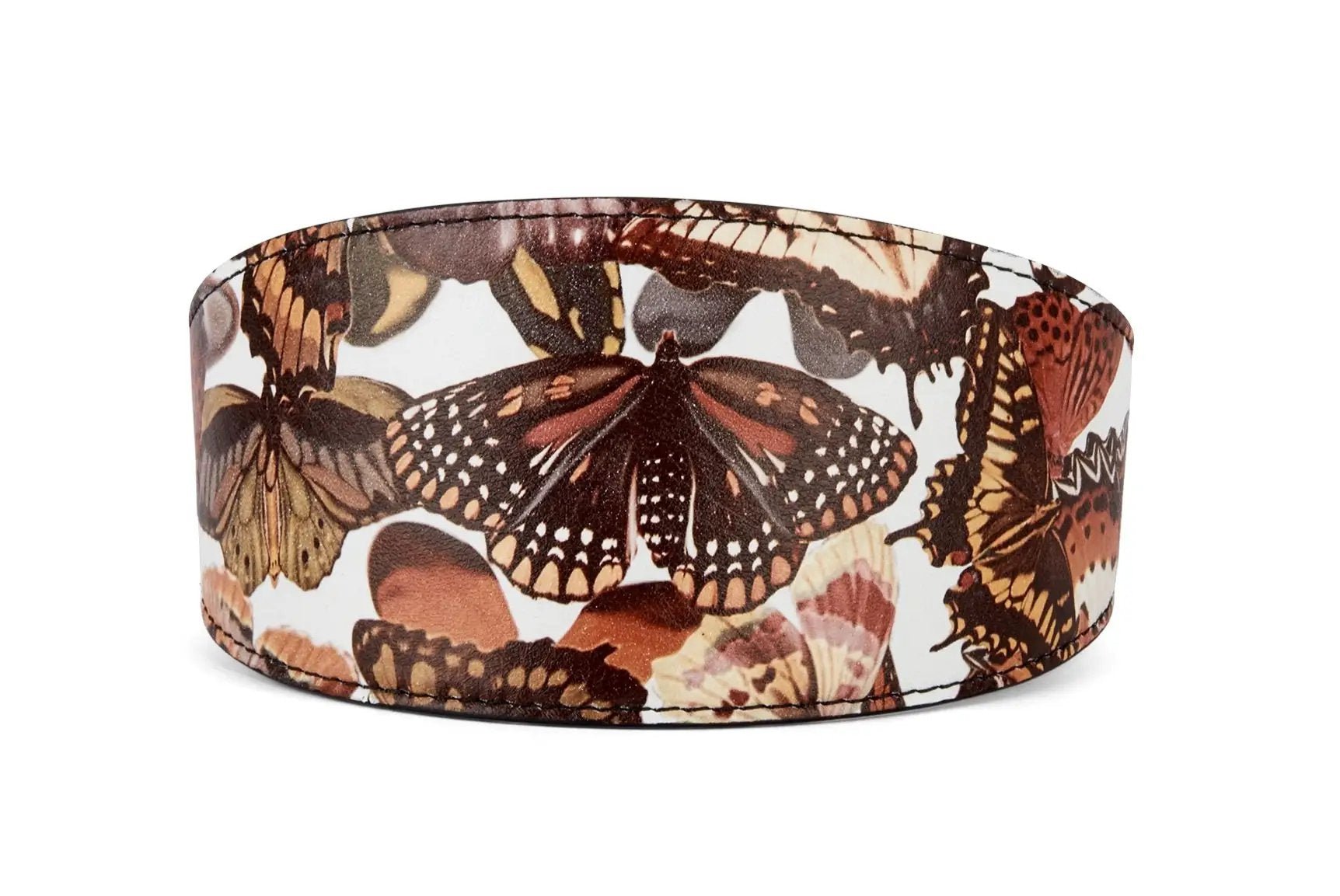 Butterfly Print Italian Leather 3" Wide Collar by Allysa Payne Beverly Hills