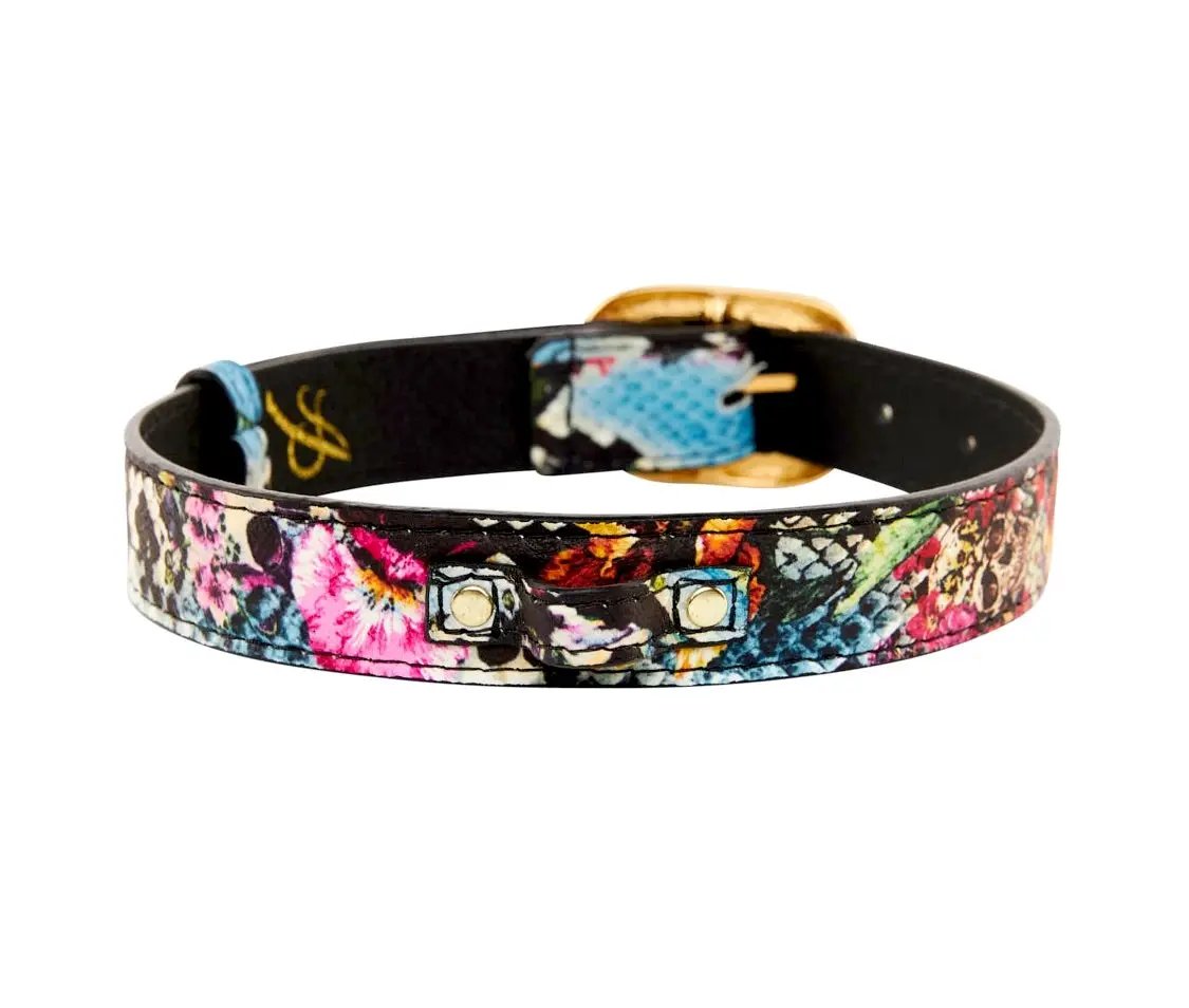 Leather pet collar with floral skull snake-print pattern, Italian leather, gold buckle, Allysa Payne Beverly Hills.