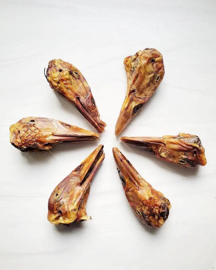 Duck Heads (ABF) by Naked Beasts, six brown duck heads arranged in a circle.